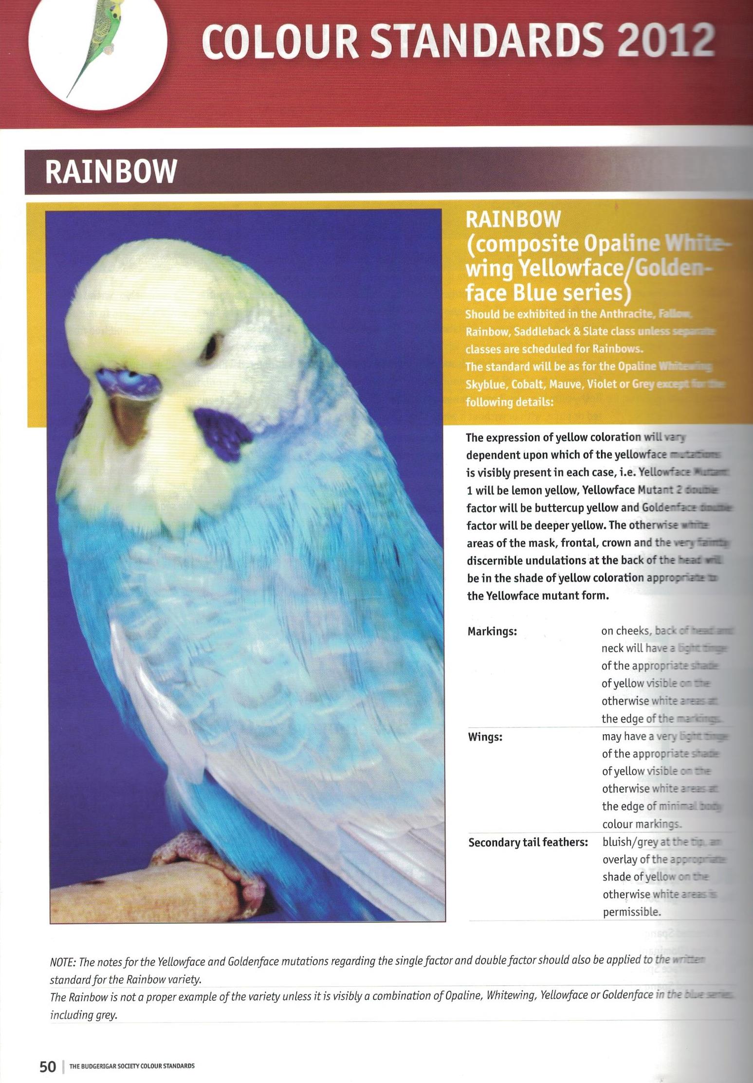 parakeet colors varieties